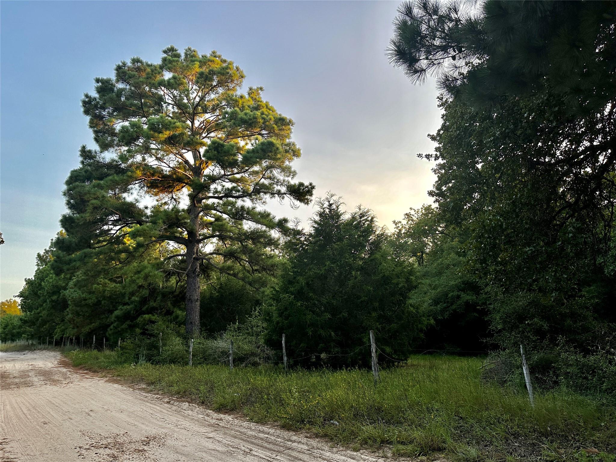 TBD Private Road 4361 — photo 5