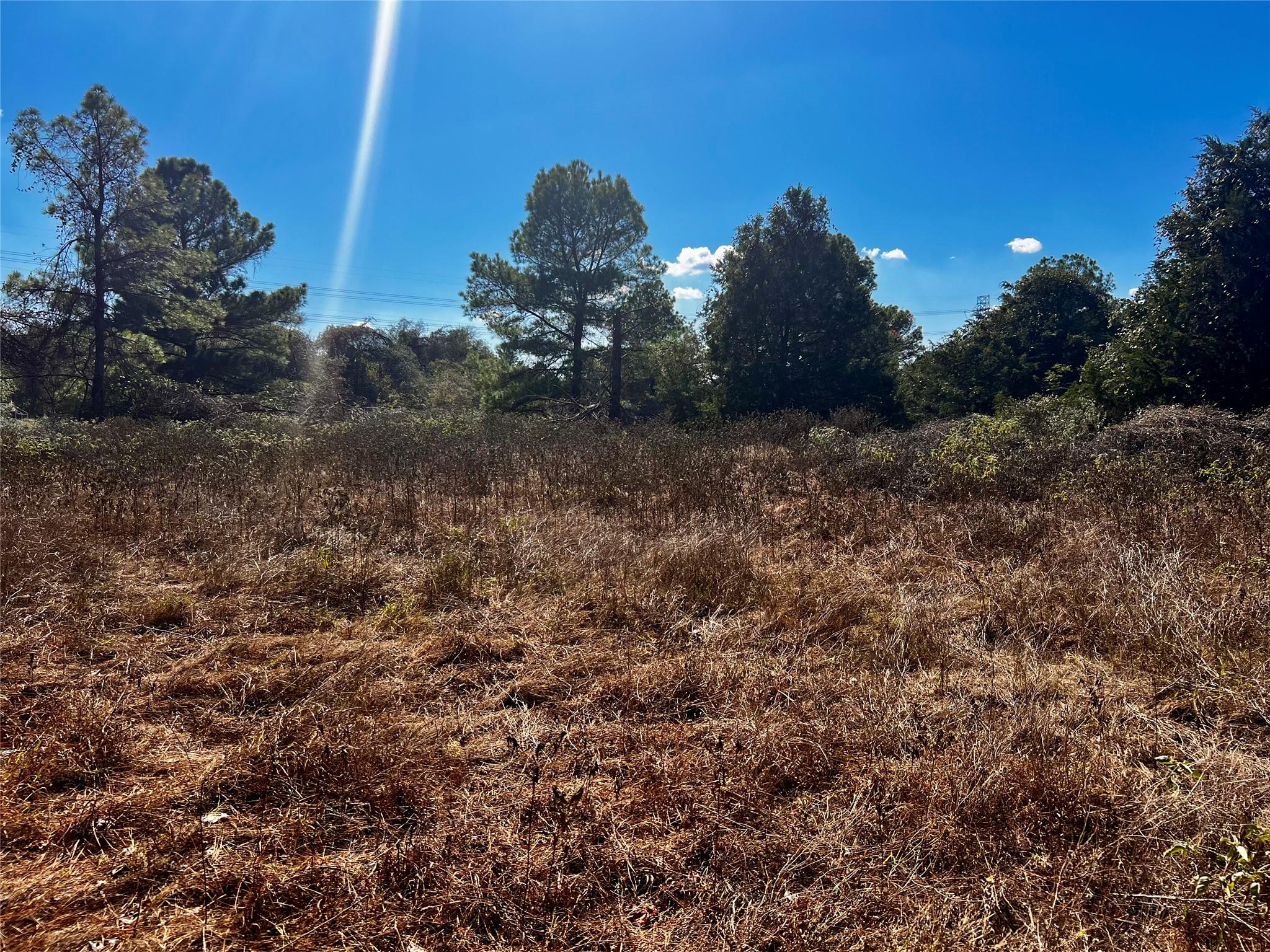 411 Laura LN — photo 4