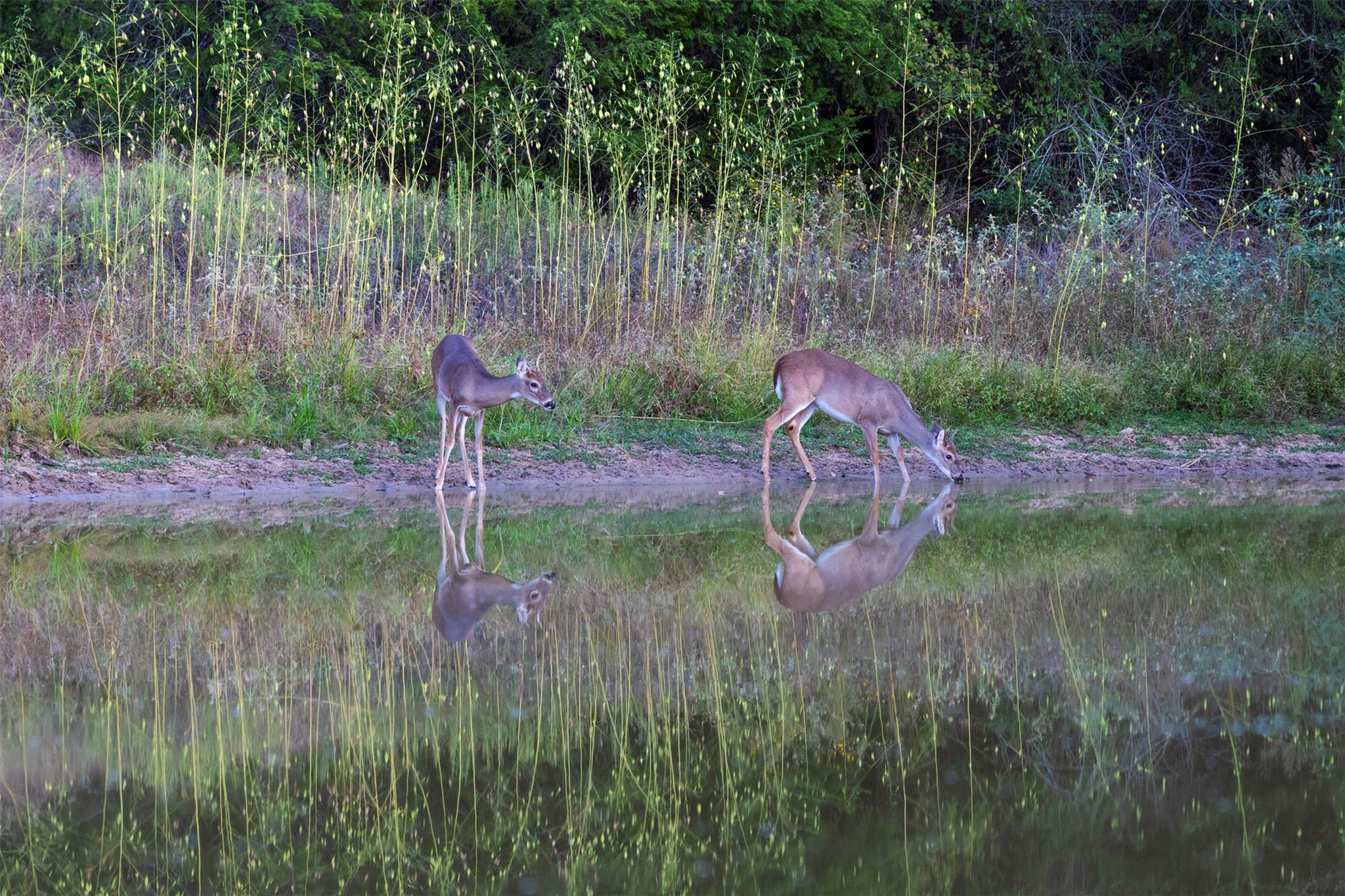 1400 Fm 535 — photo 4