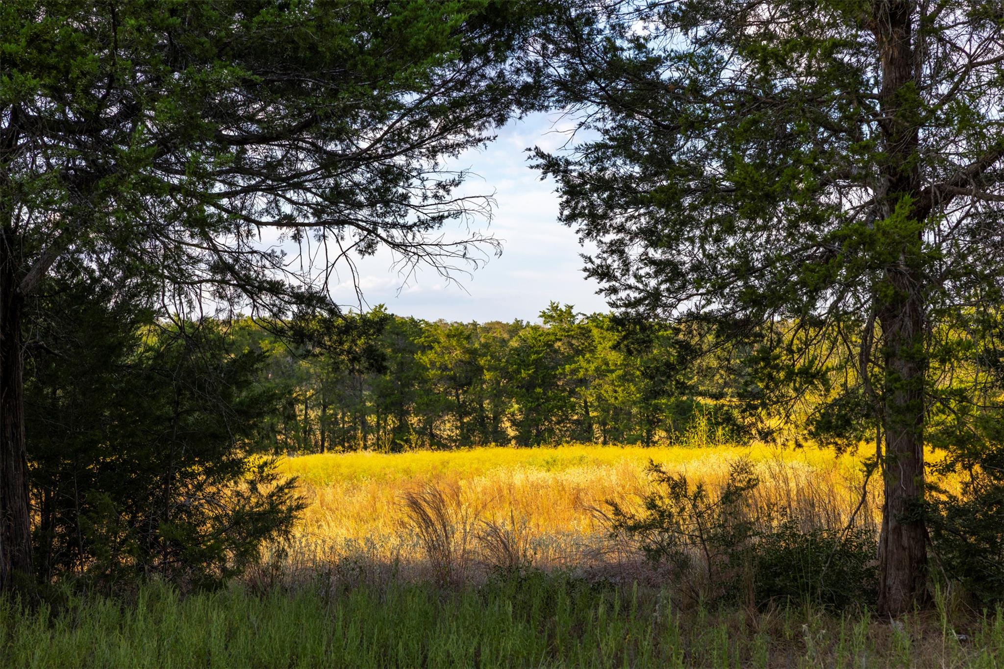 1400 Fm 535 — photo 5