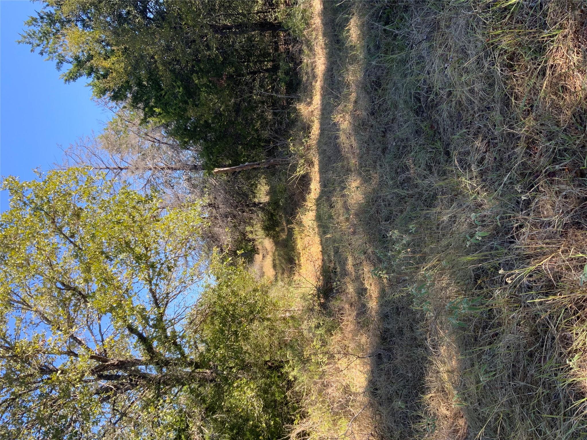 000 County Road 304 — photo 3