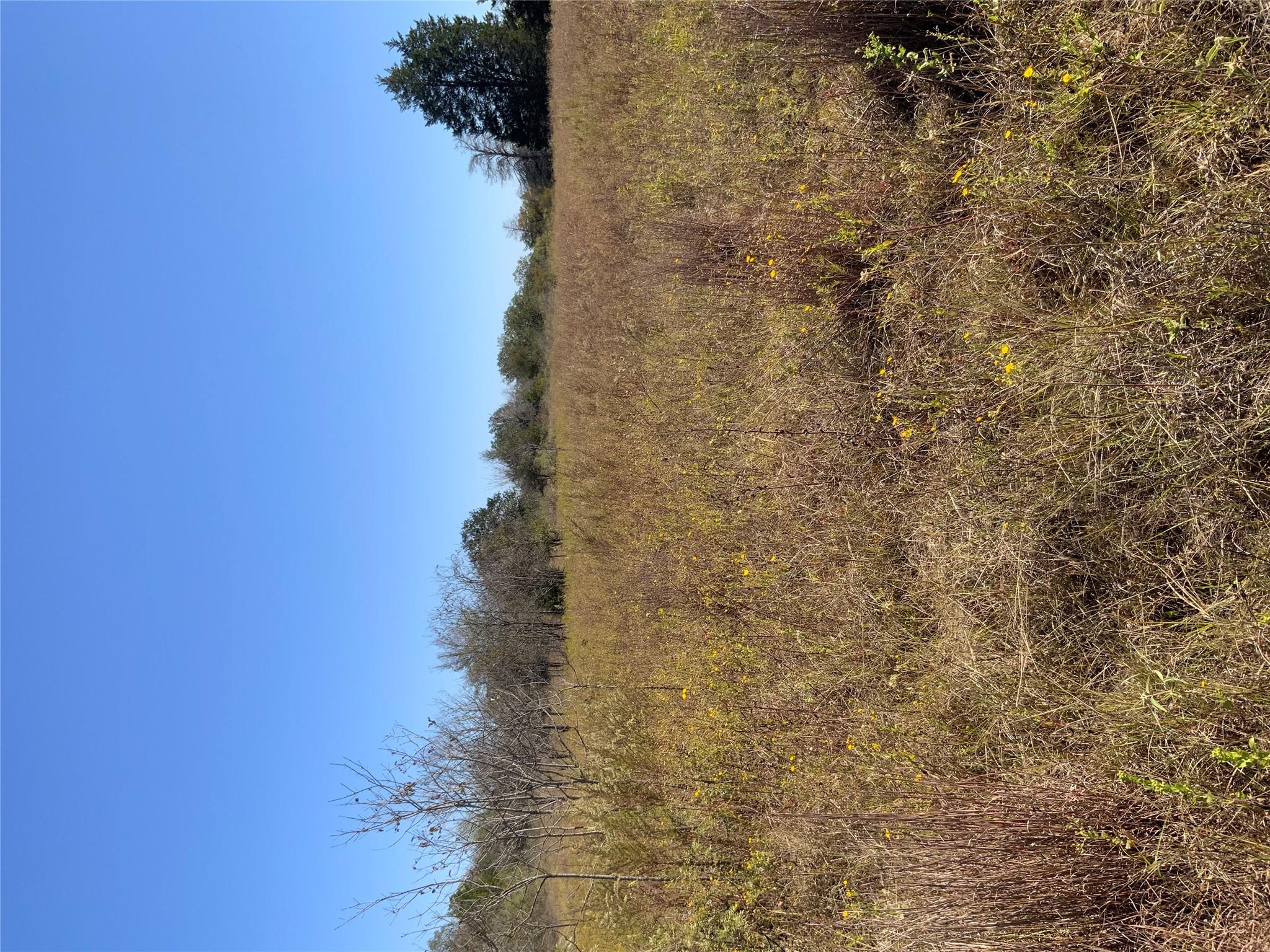 000 County Road 304 — photo 4