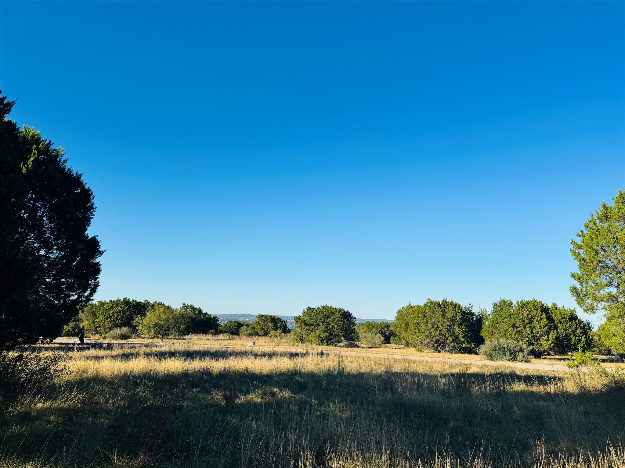 22051 Long Shot — photo 4
