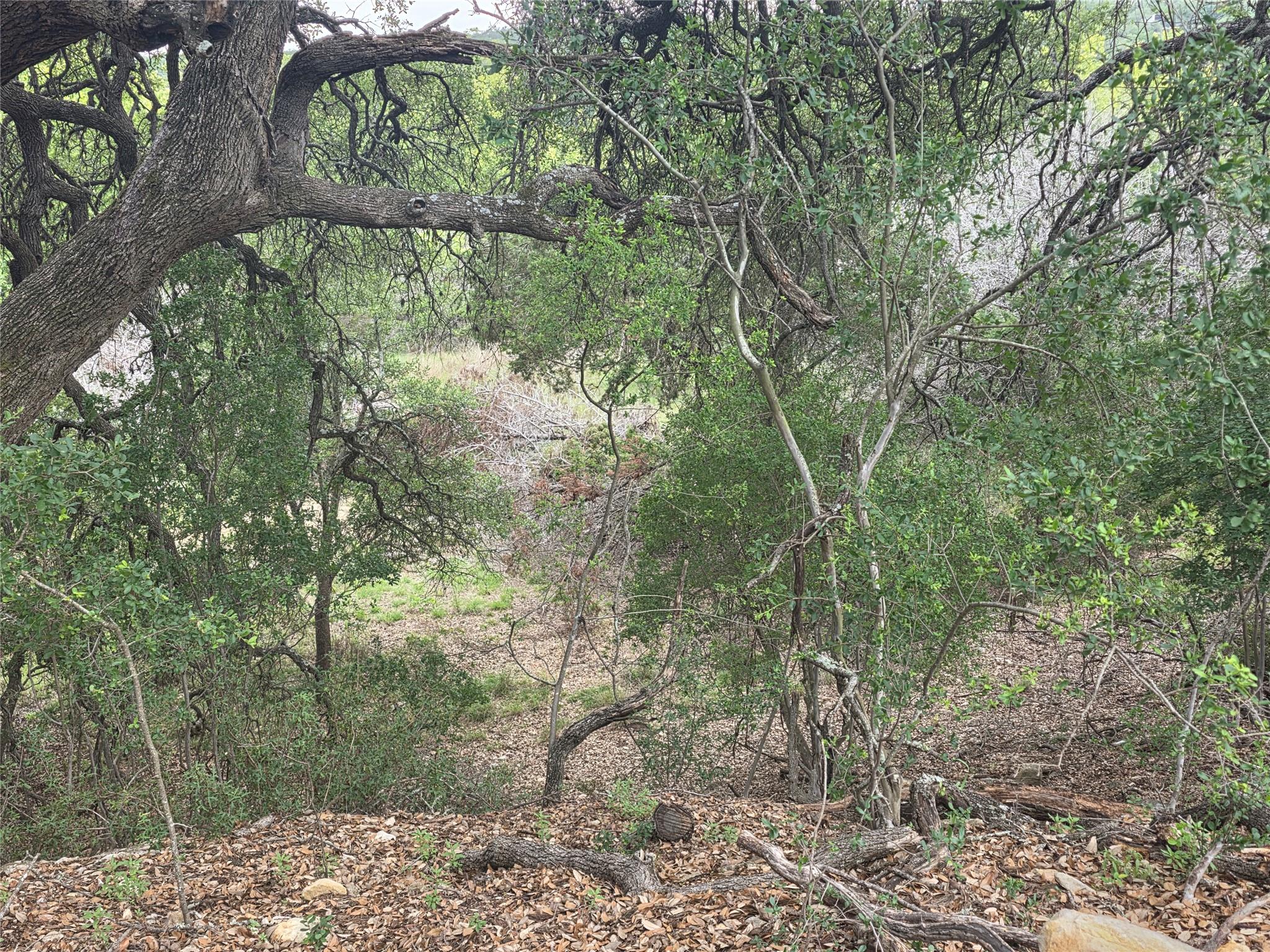 TBD Sycamore Creek DR — photo 3