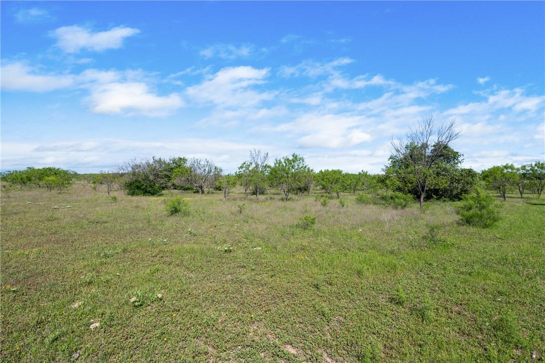 TBD County Road 276 — photo 3