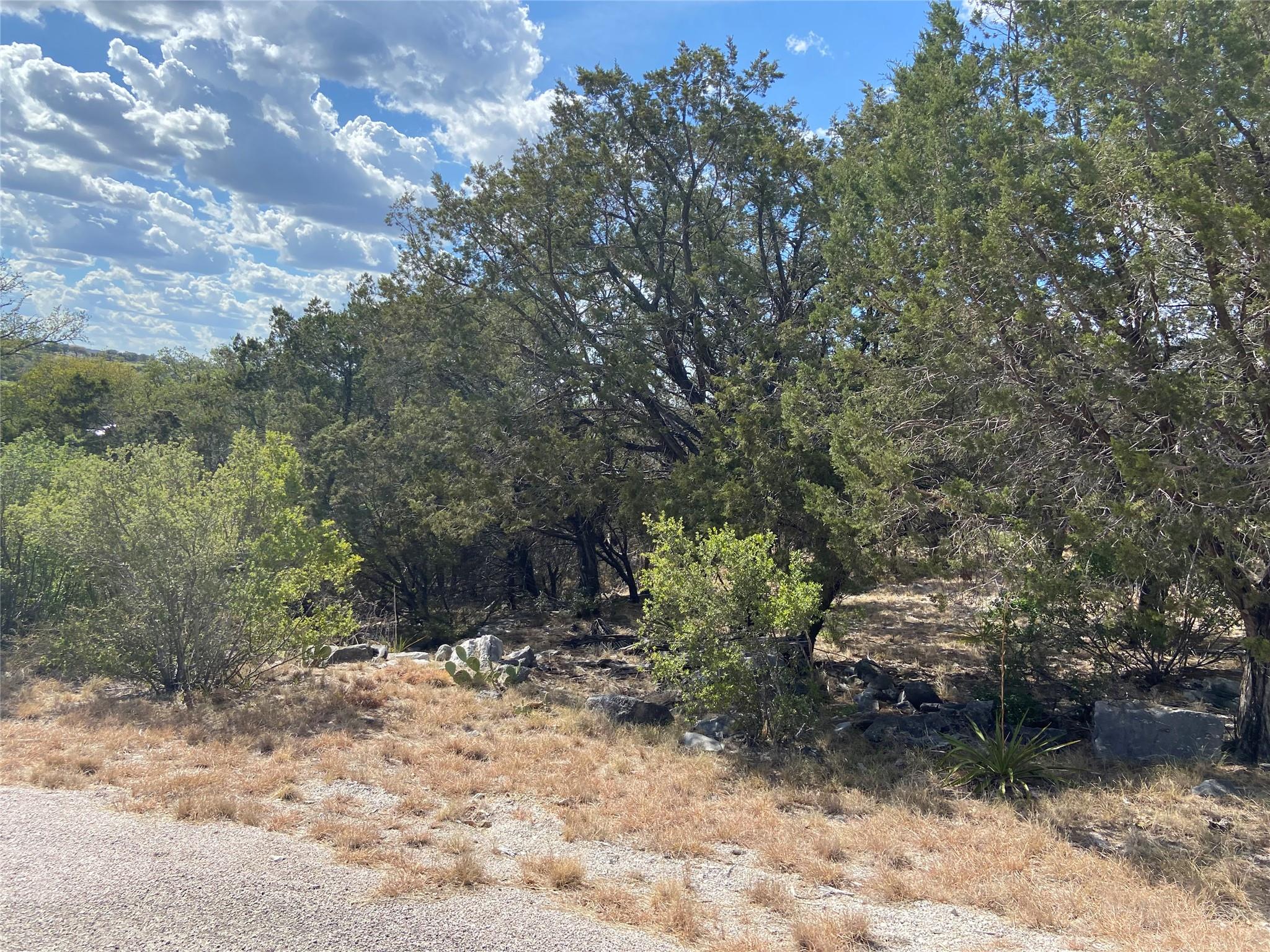 Lot 22173 Wind Swept — photo 3