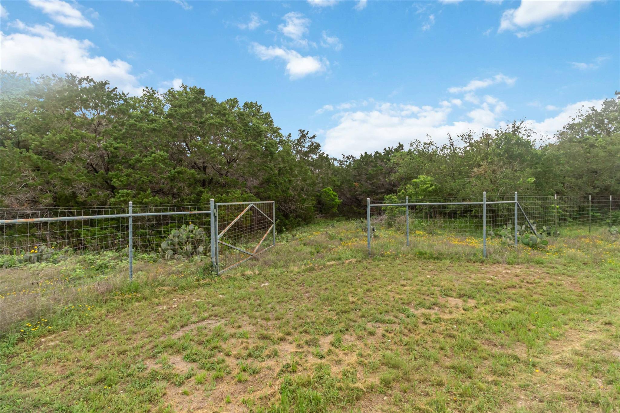 1306 Thousand Oaks LOOP — photo 3