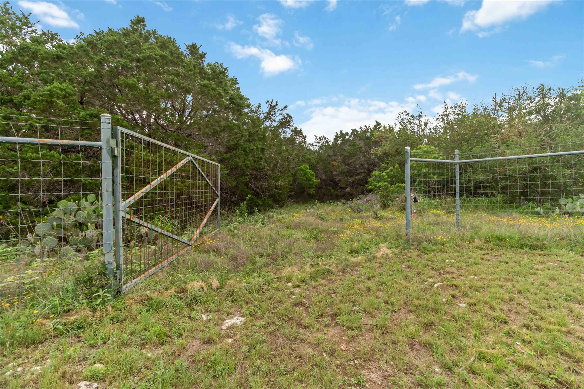 1306 Thousand Oaks LOOP — photo 4