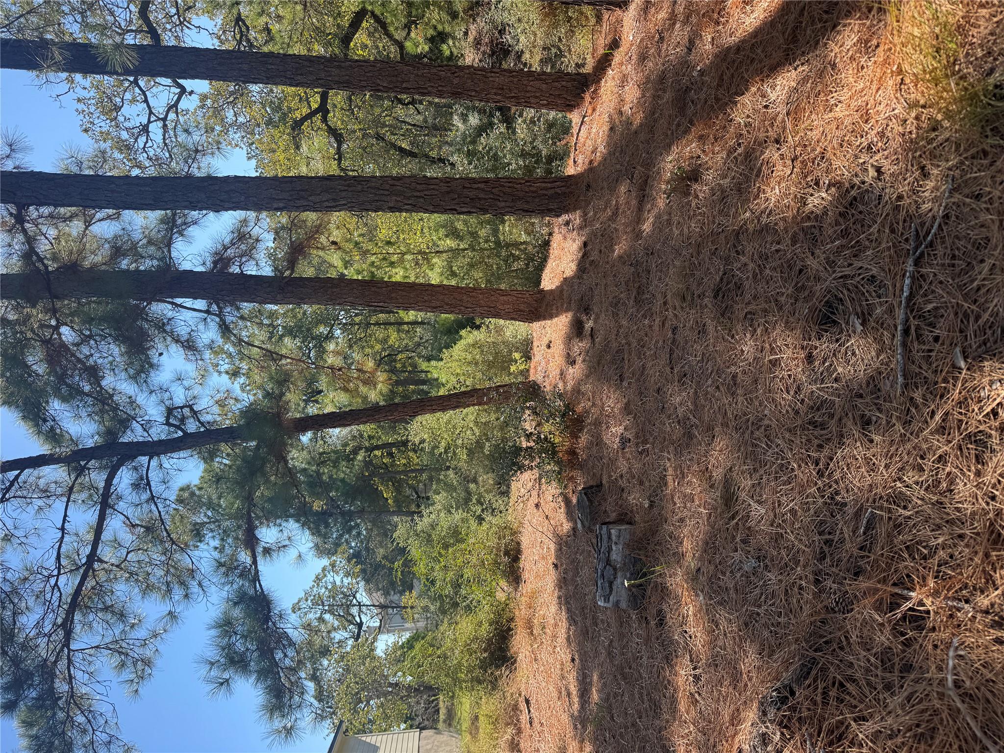 Lot 97 Kaelepulu DR — photo 3