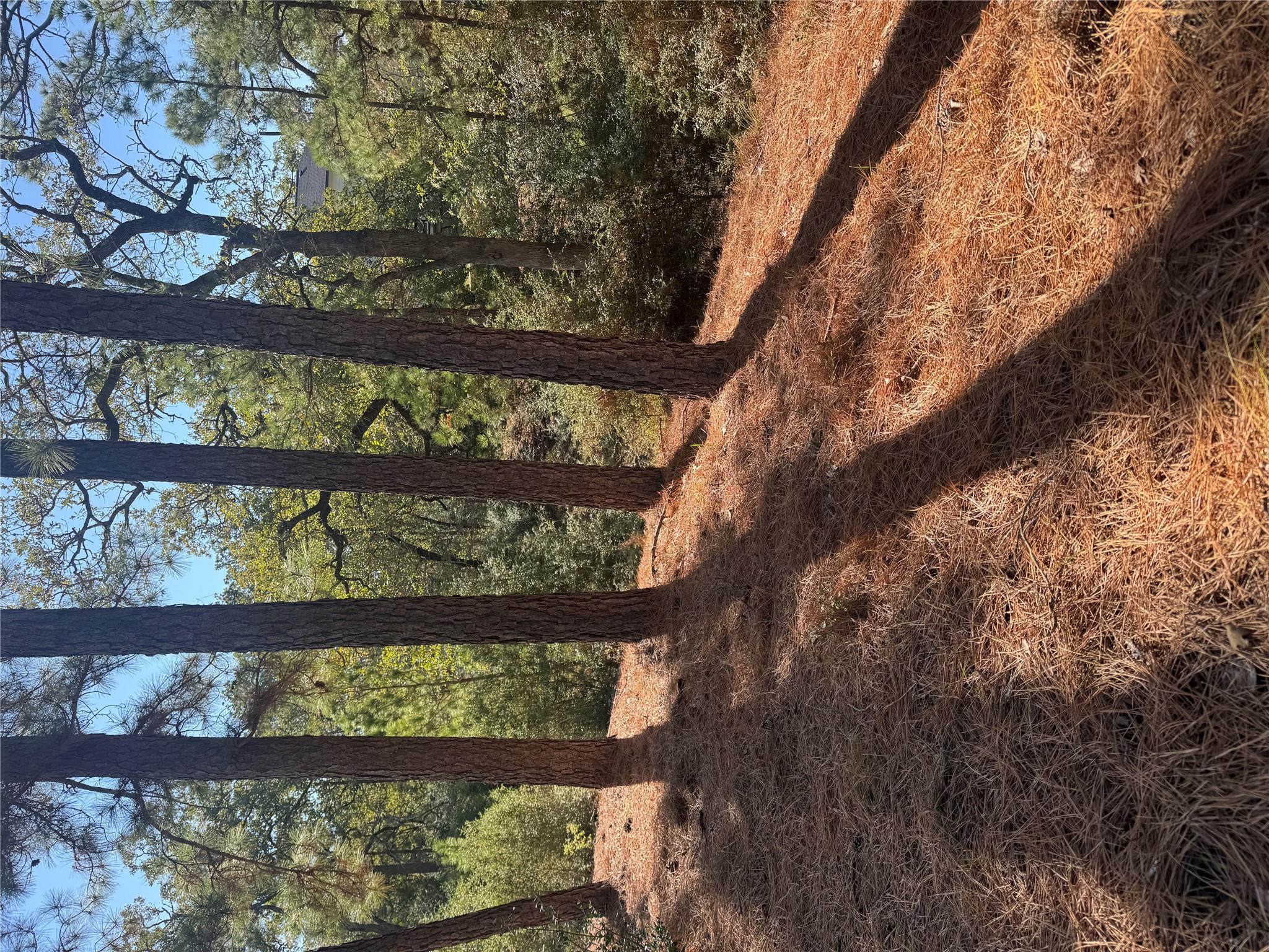 Lot 97 Kaelepulu DR — photo 4