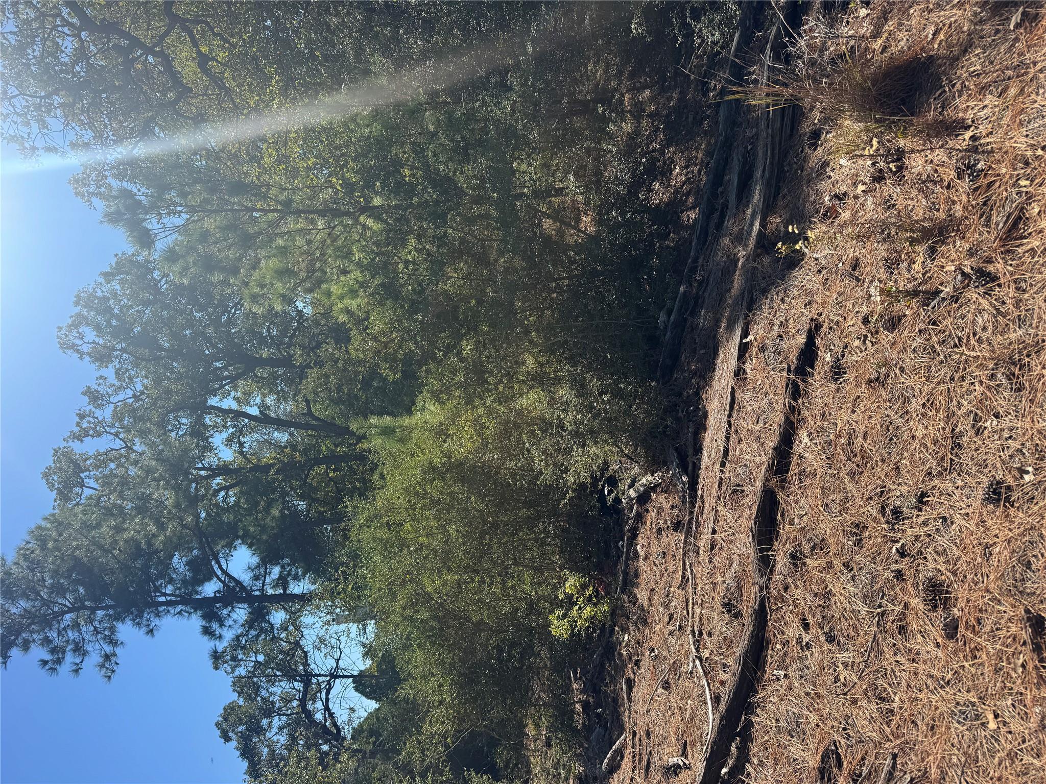 Lot 97 Kaelepulu DR — photo 5