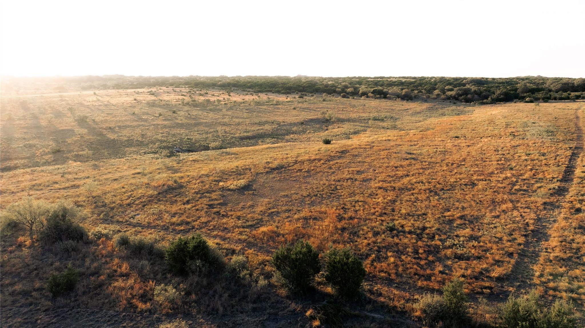 247 Fm 581 Highway — photo 3