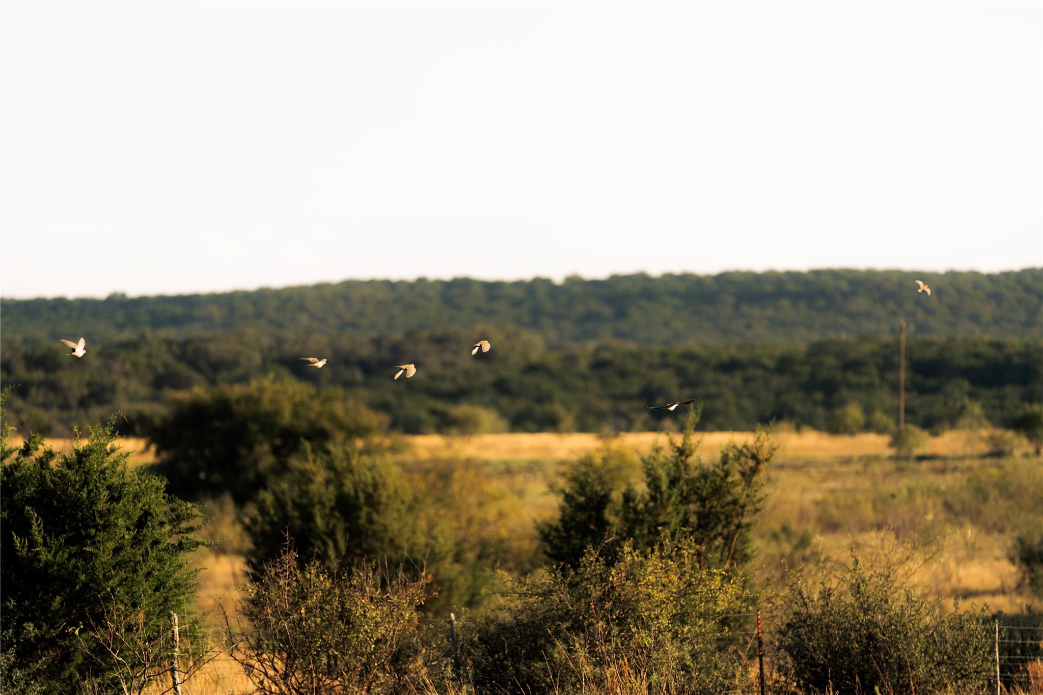 247 Fm 581 Highway — photo 5