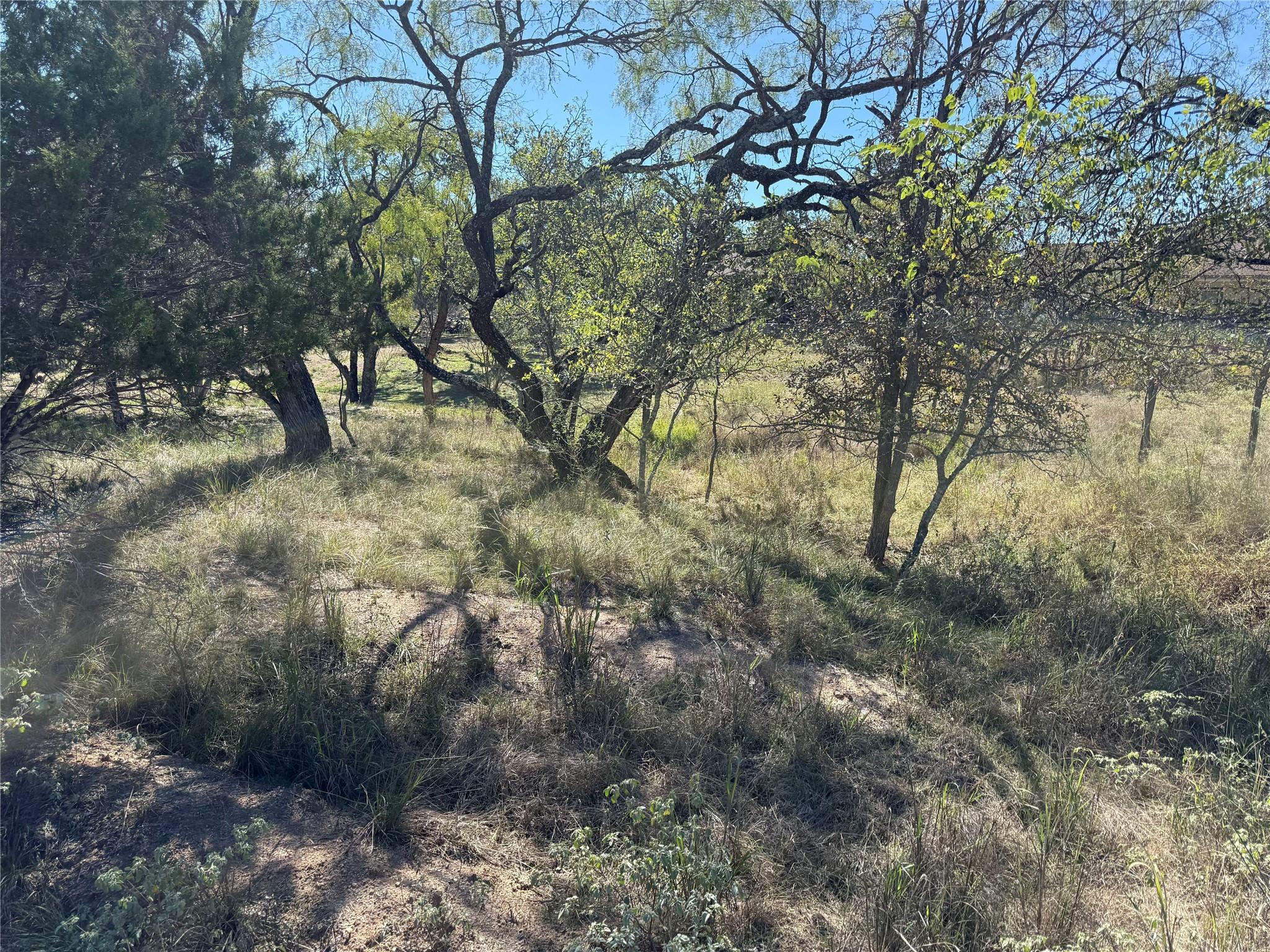 Lot 187 Longmont ST — photo 3