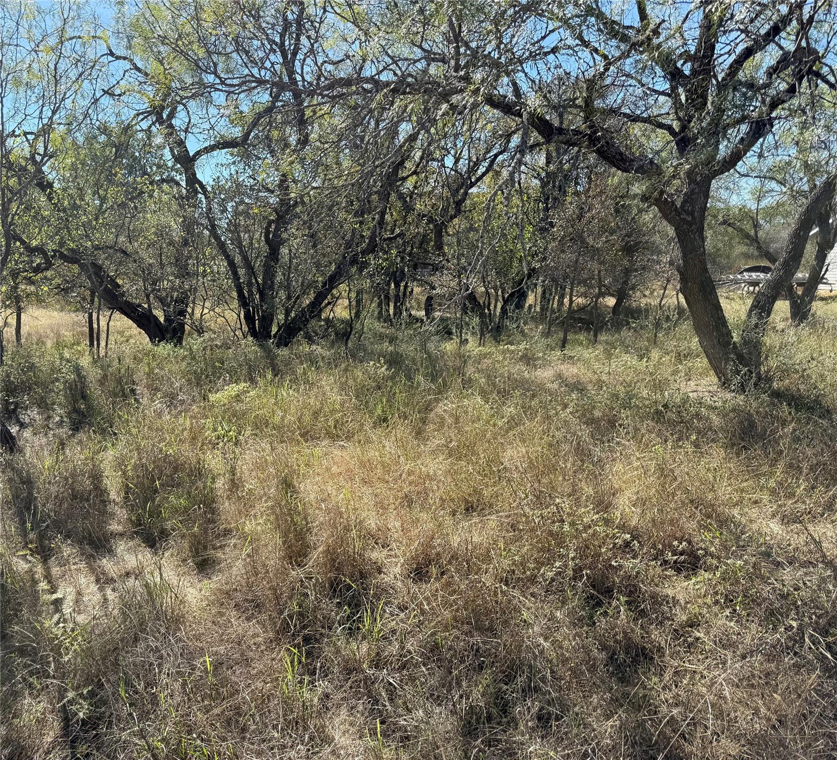 Lot 187 Longmont ST — photo 5