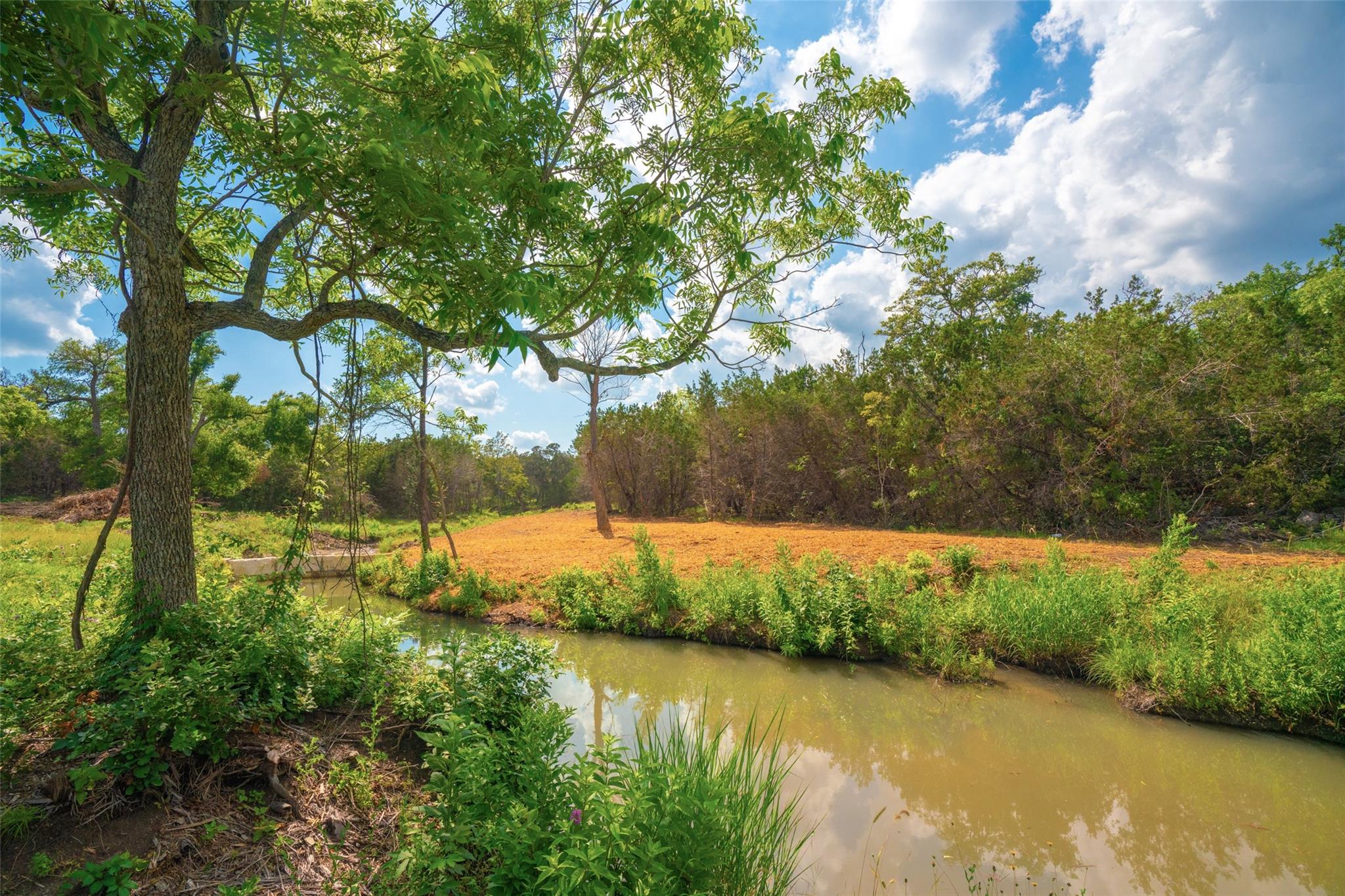 000 Spring Creek Ranch — photo 5