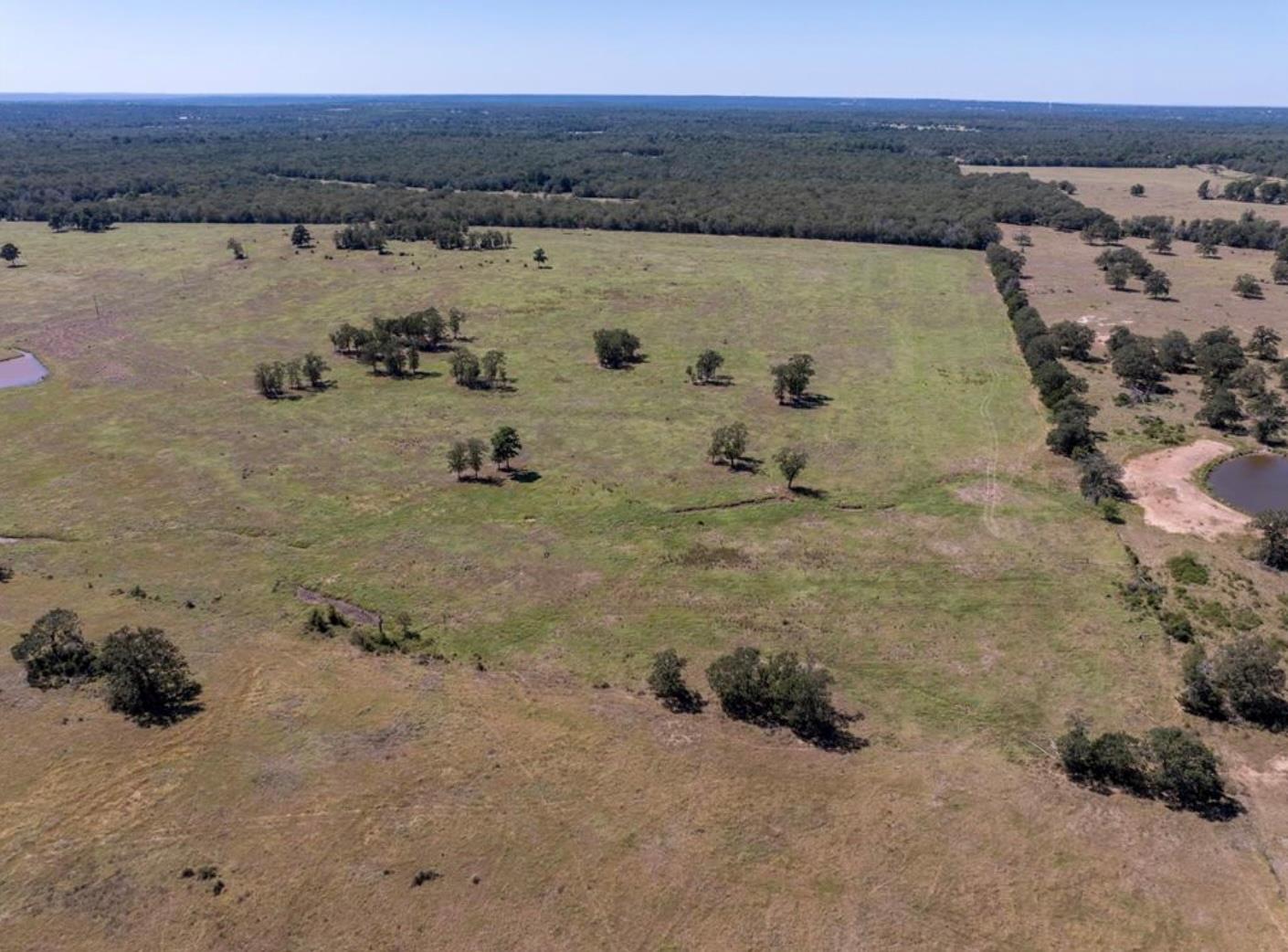 1078 Old Pin Oak RD #Tract 2 — photo 5