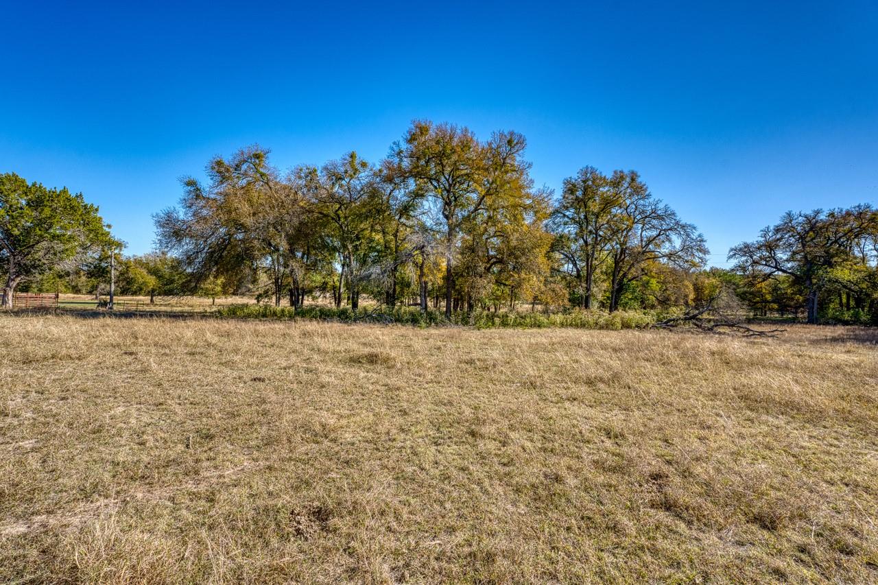 20949 Firefly RD — photo 5