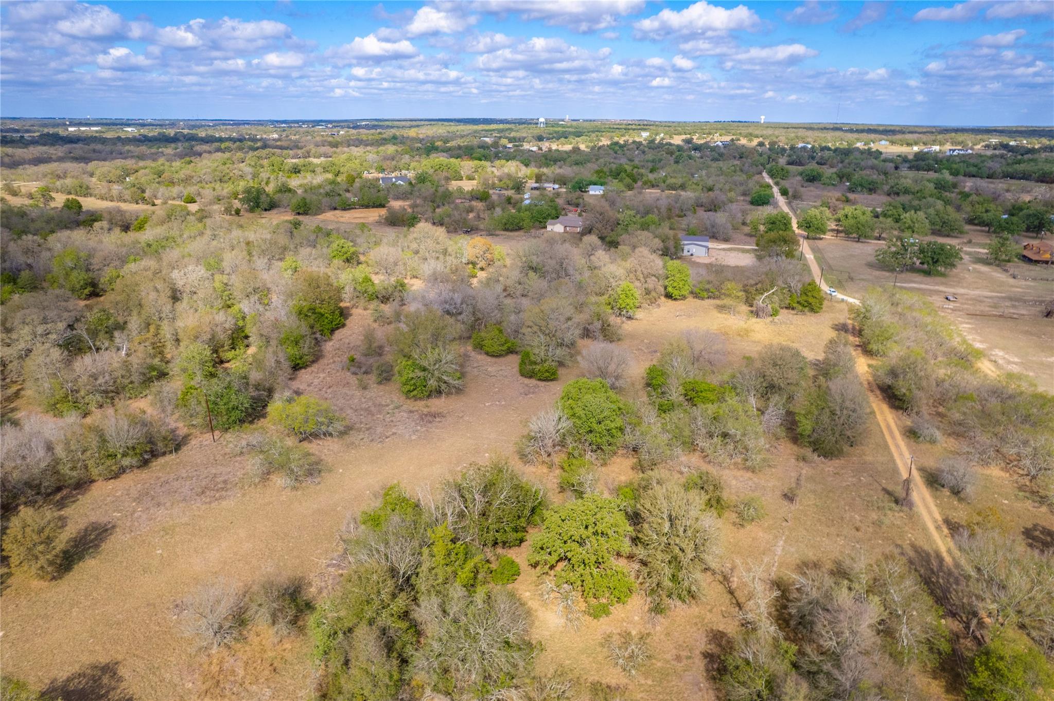 000 Armadillo LN — photo 4