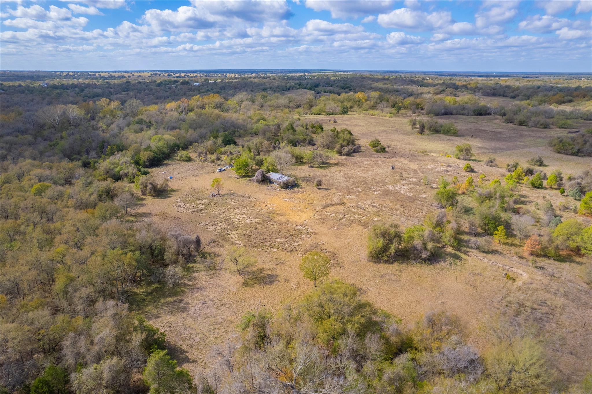000 Armadillo LN — photo 5