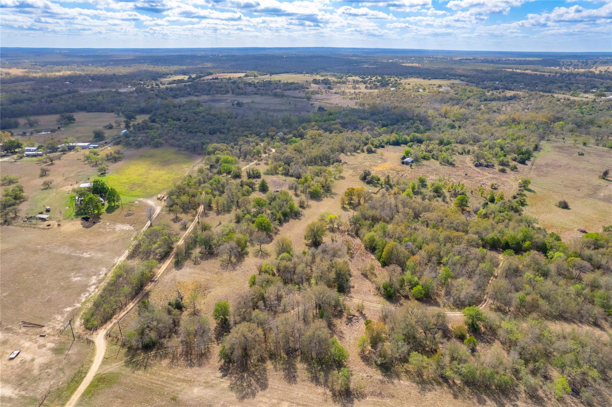 000 Armadillo LN — photo 4