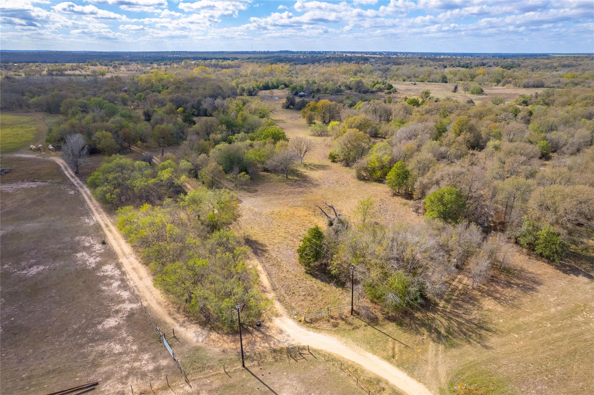 000 Armadillo LN — photo 5