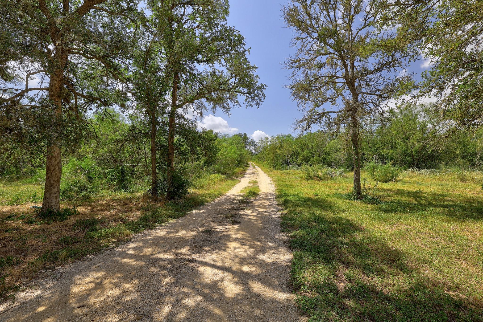 326 The Forest RD — photo 3