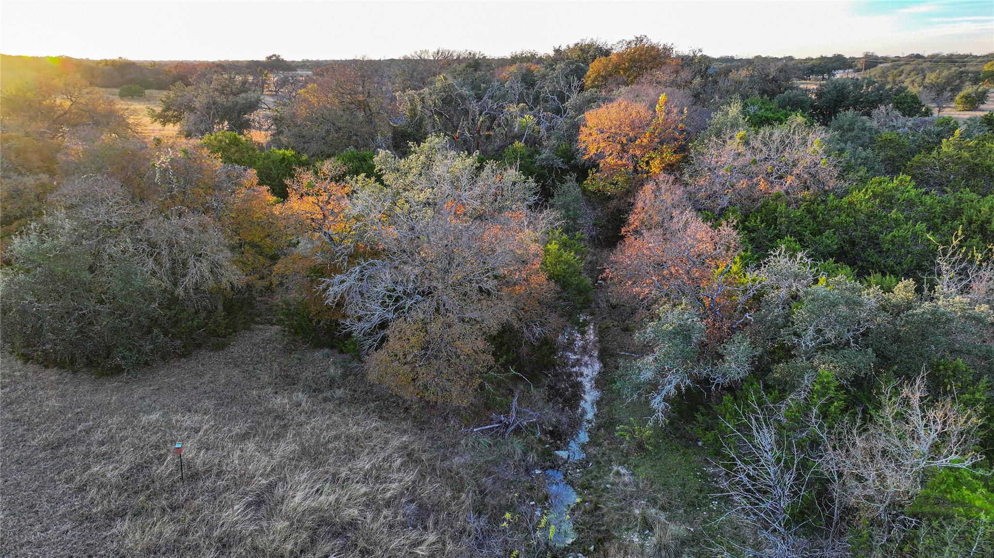 9A-3 Miller Creek BLF — photo 4