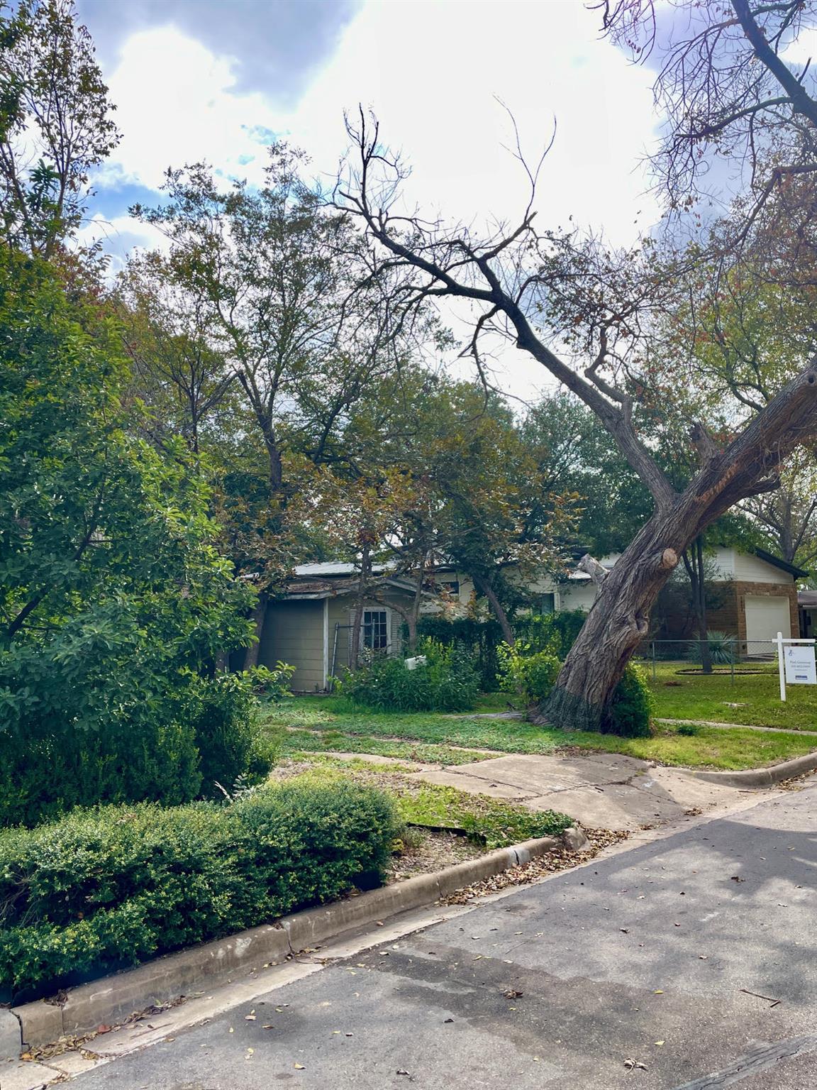 4901 Park DR — photo 3