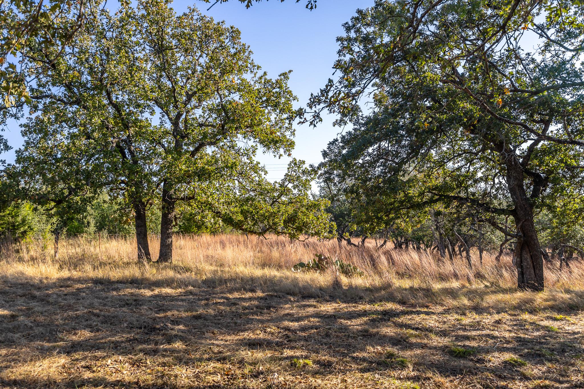 1260 County Road 2001 — photo 5