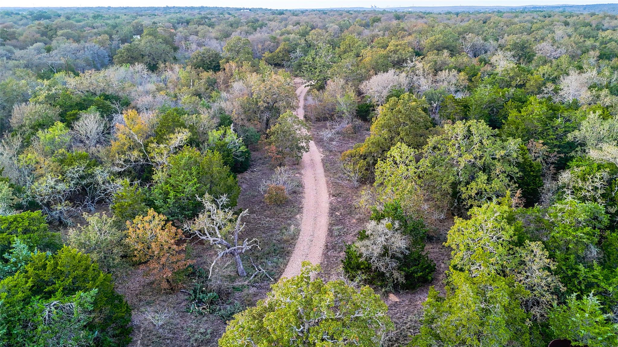 137 Shady Oaks LOOP — photo 4
