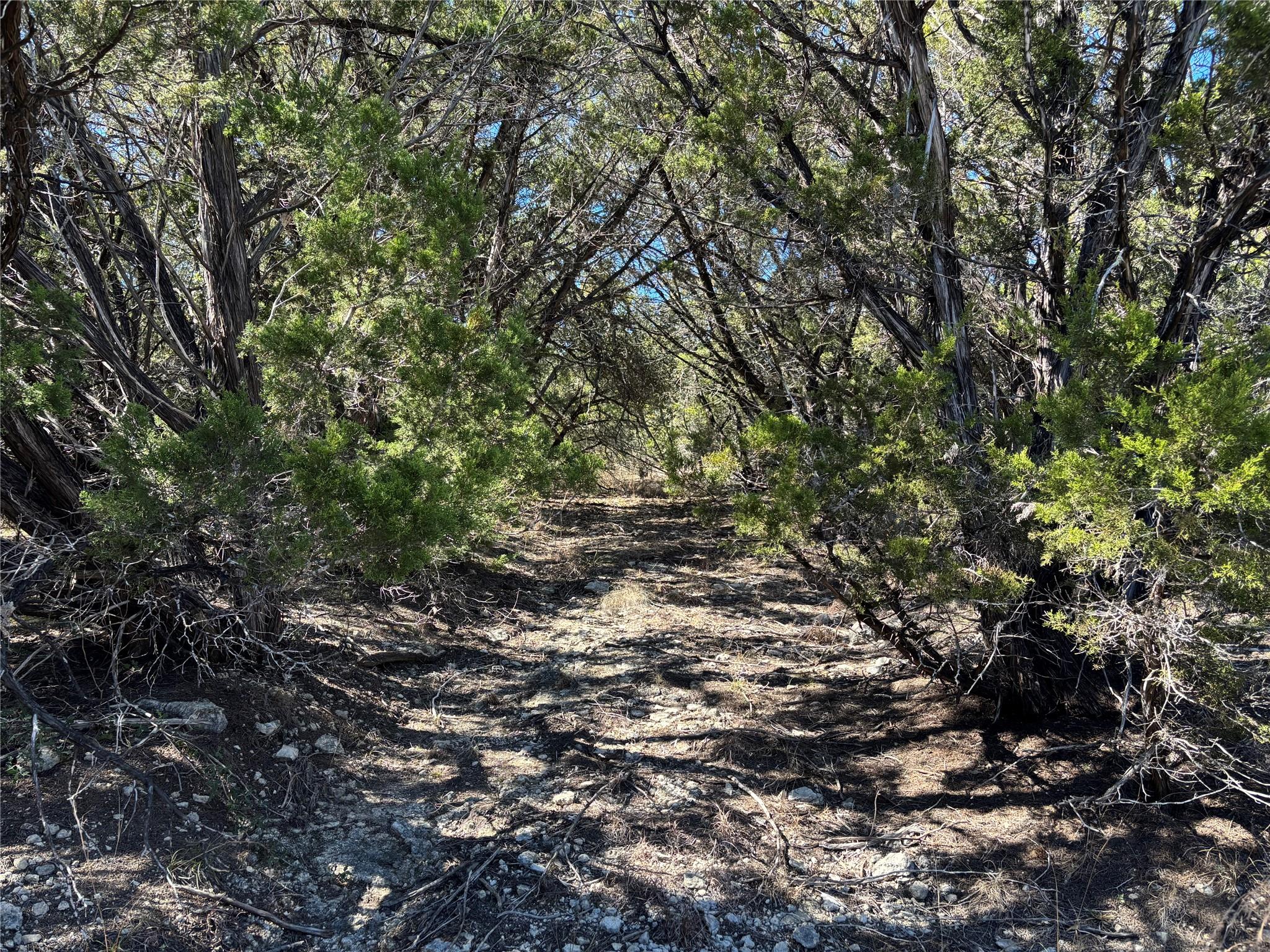 0 Fawn River DR — photo 3