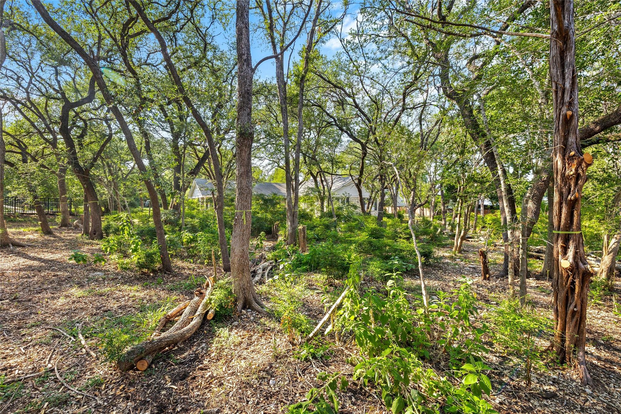 4101 Spicewood Springs RD — photo 5
