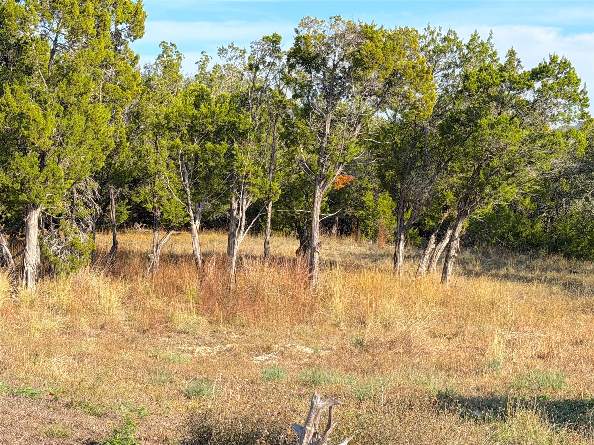 TBD Terra Vista CT — photo 3