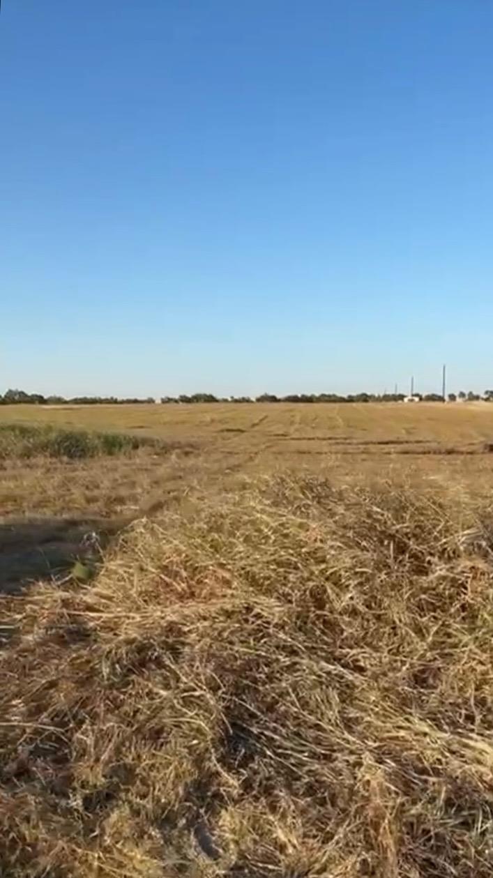 TBD County Road 133 CTR #Lot 6 — photo 3