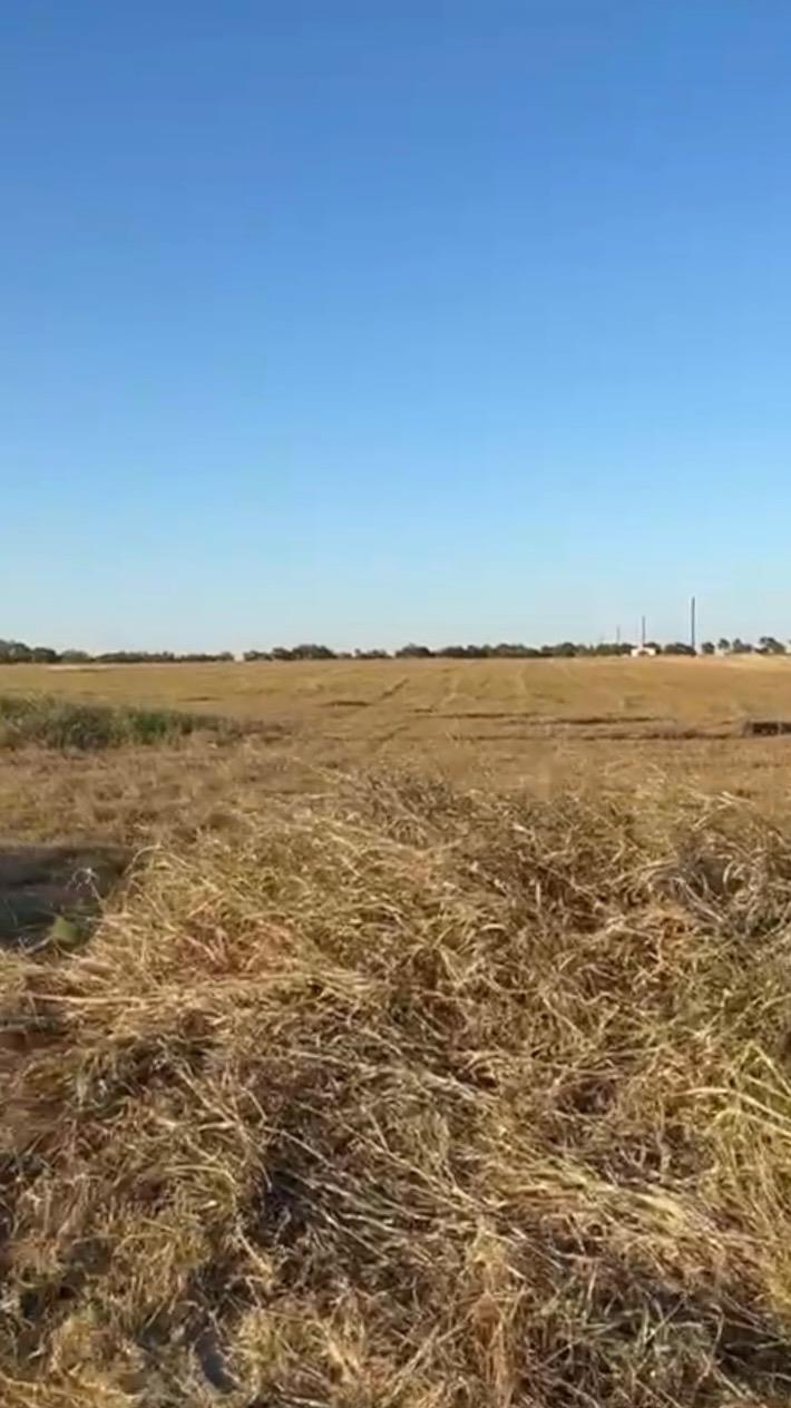 TBD County Road 133 CTR #Lot 6 — photo 4