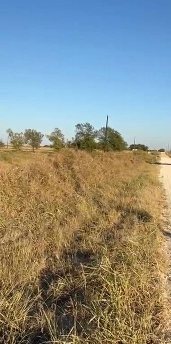TBD County Road 133 CTR #Lot 6 — photo 5