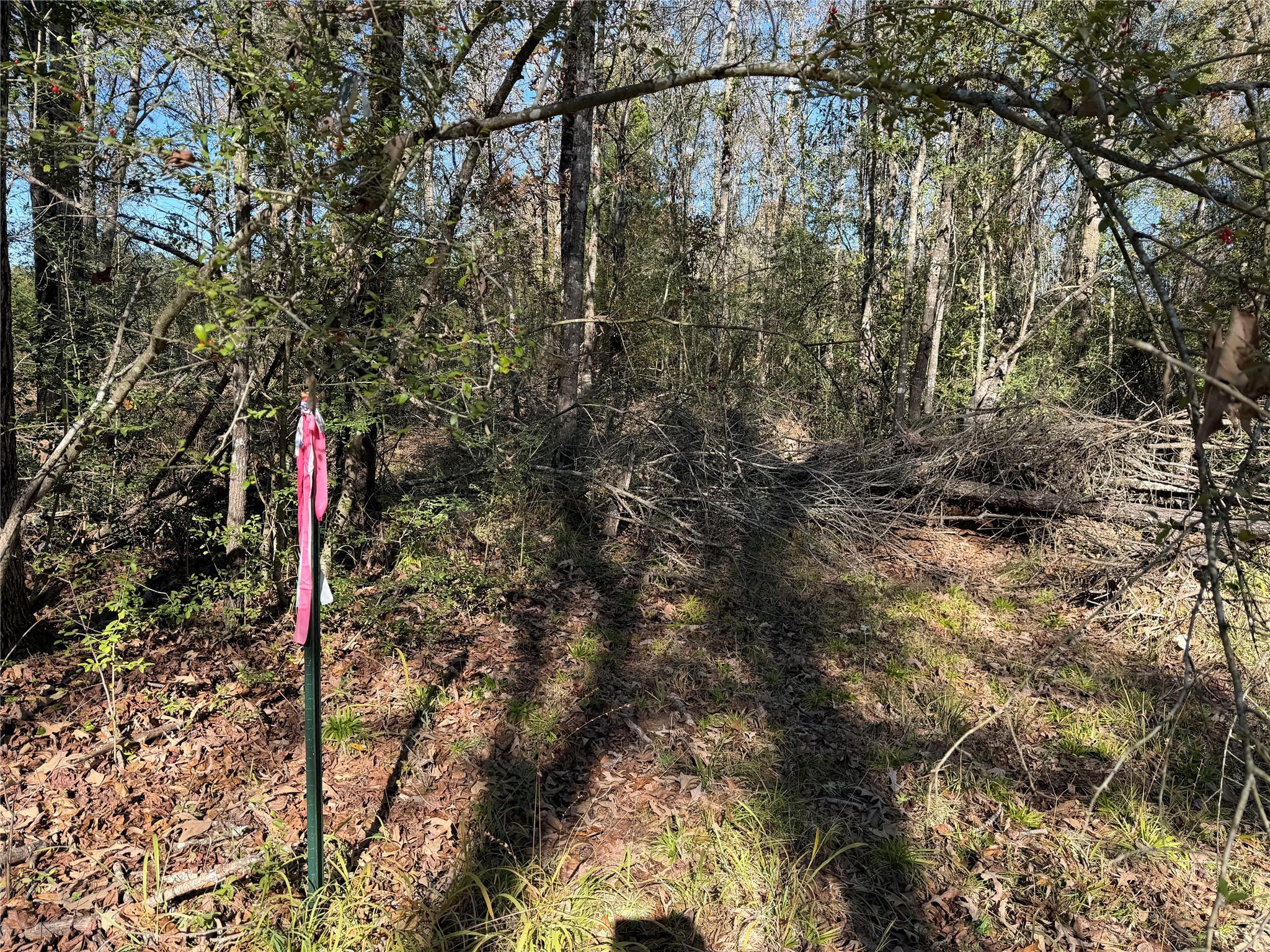 128 County Road 301 Tract 7 — photo 5
