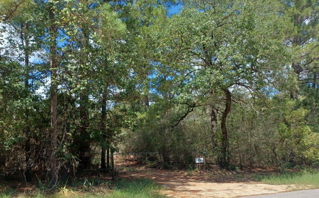 172 Pine Canyon DR — photo 3