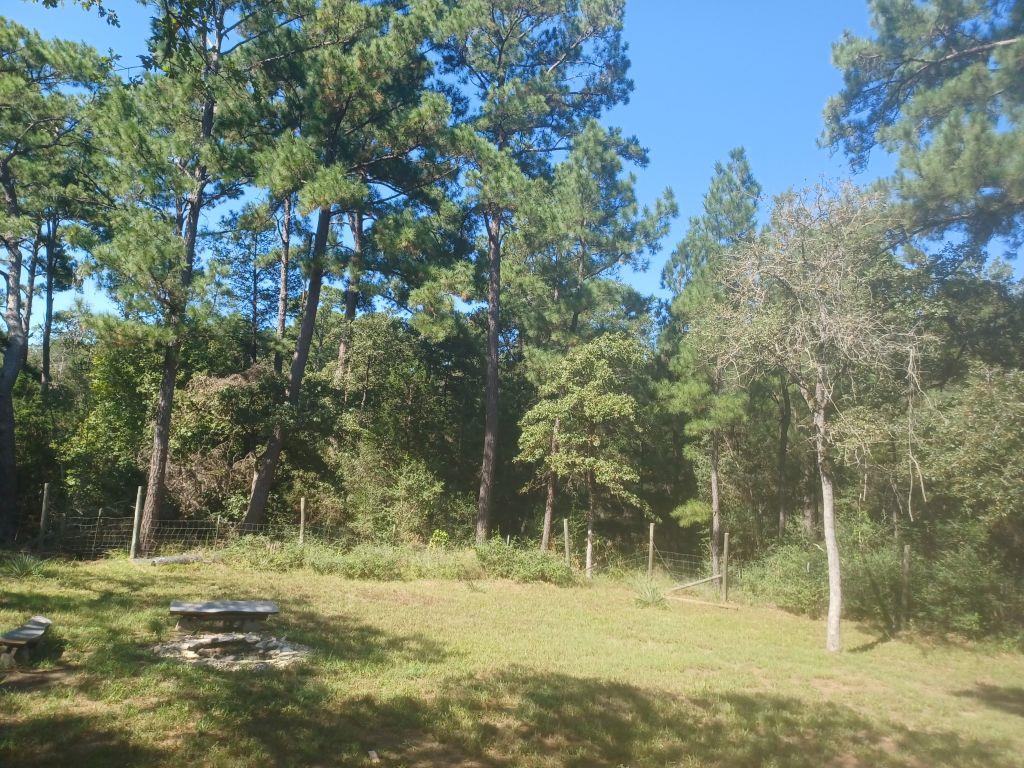 172 Pine Canyon DR — photo 5