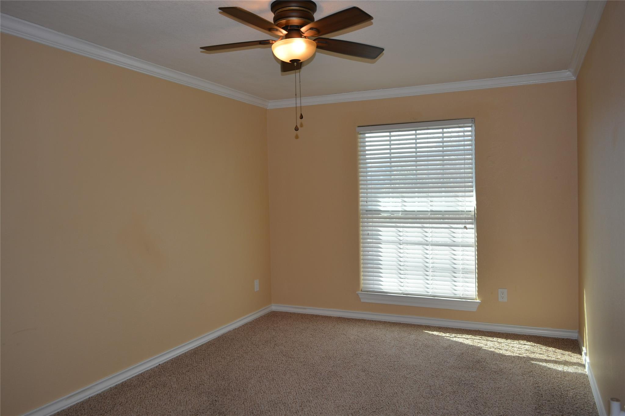 13703 Cambourne DR — photo 5