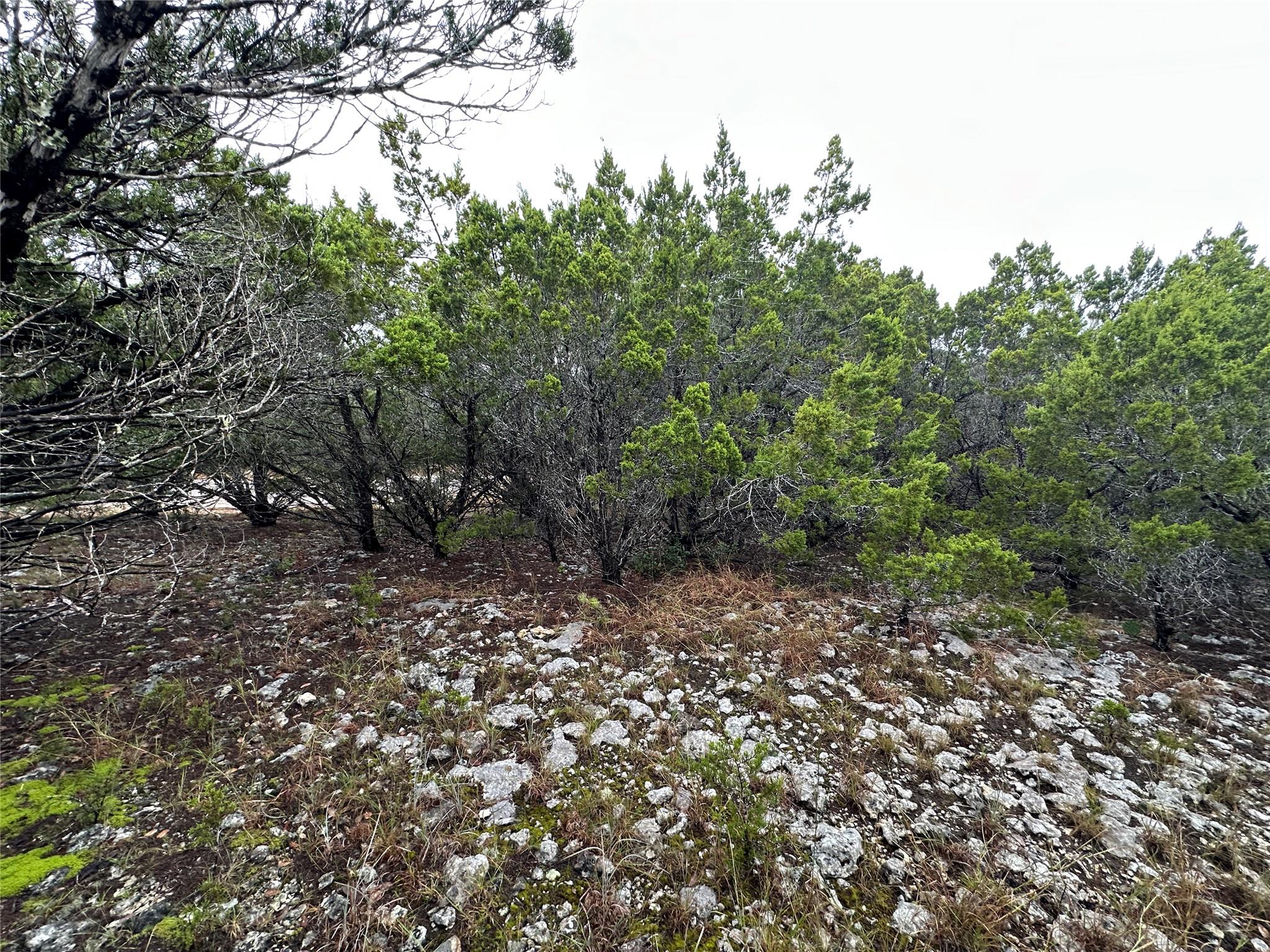 20600 Trinity CV — photo 3