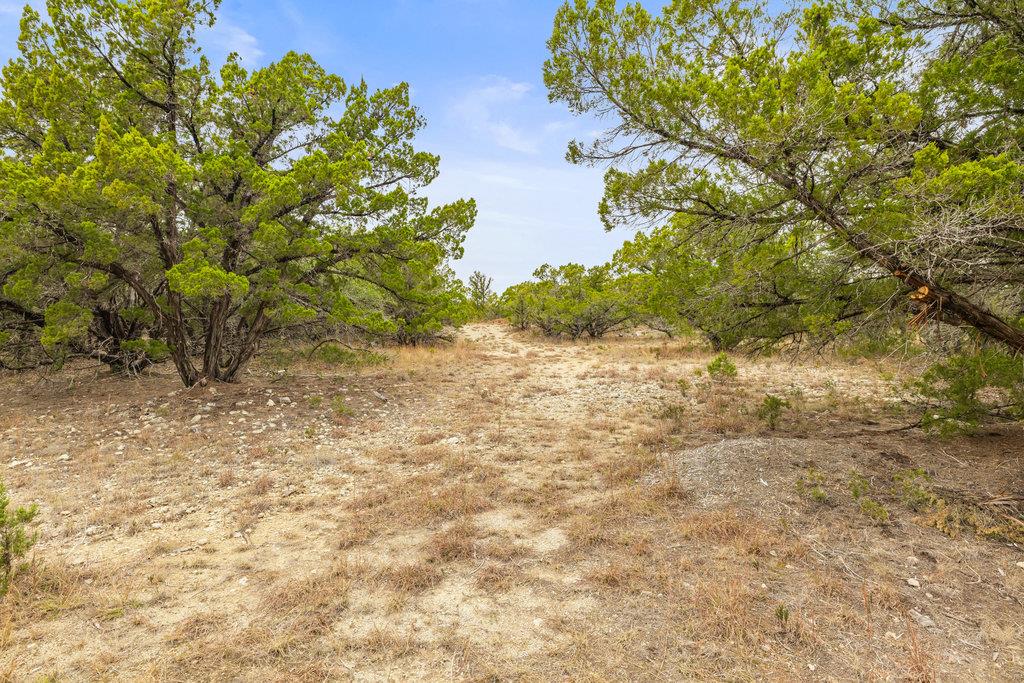 1216 Overland Stage RD — photo 4