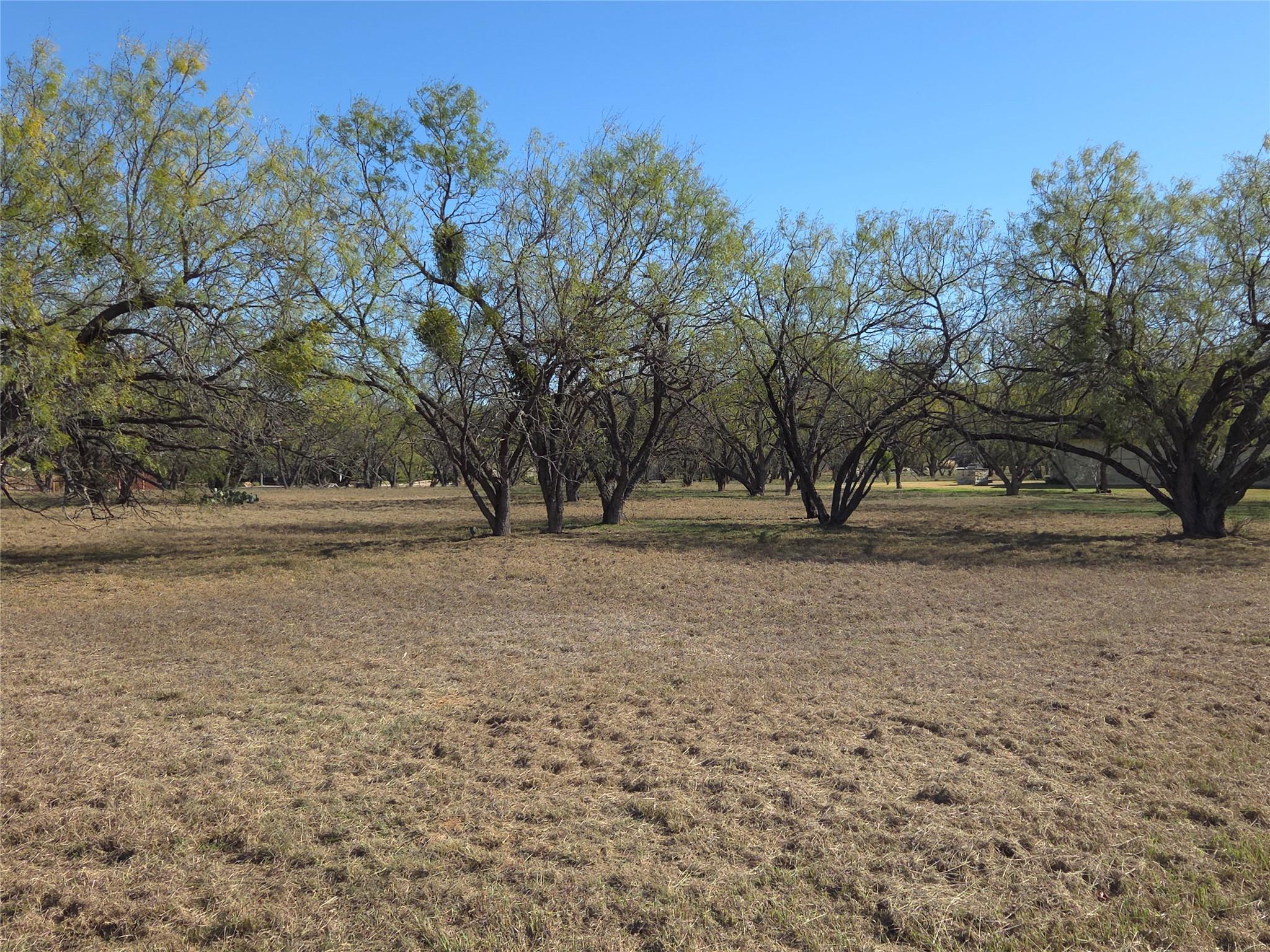 LT 23048 Hi Circle South/Far West — photo 5
