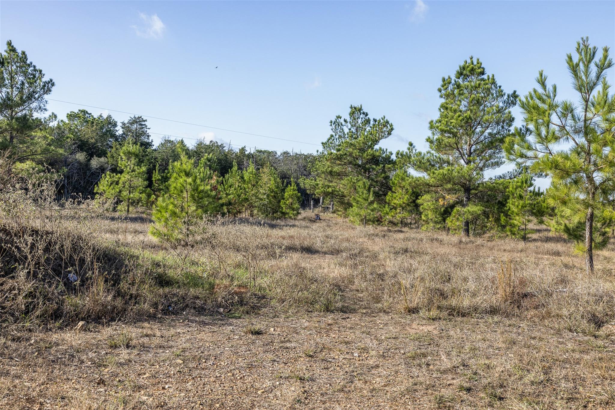 1759 Gotier Trace RD — photo 4