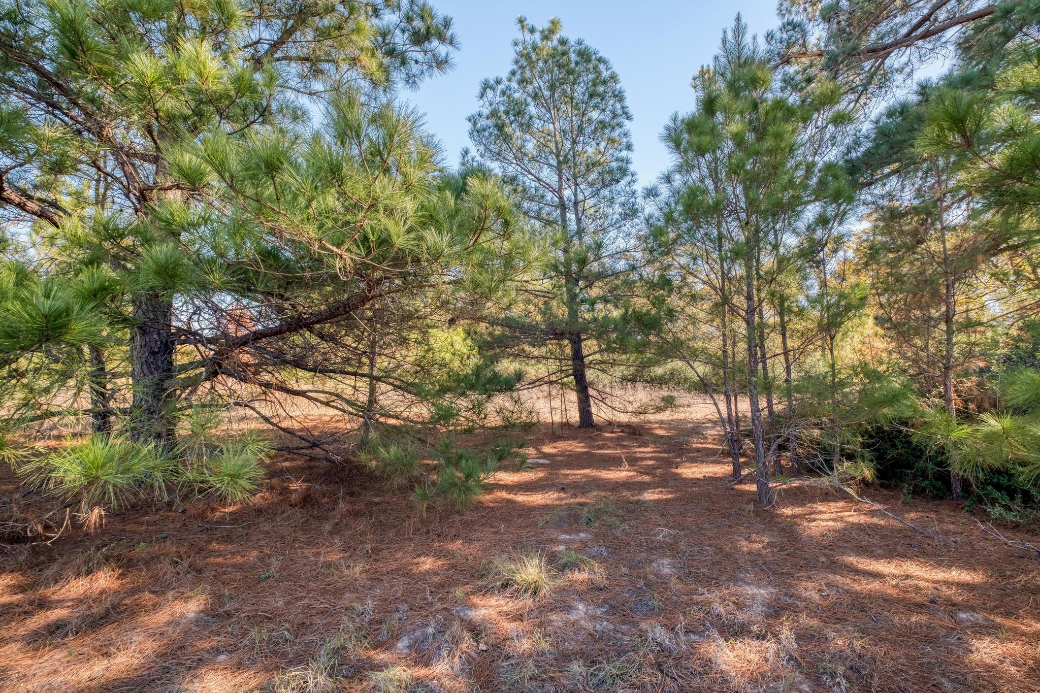 000 Dunbar Rd (Tract 3) RD — photo 3