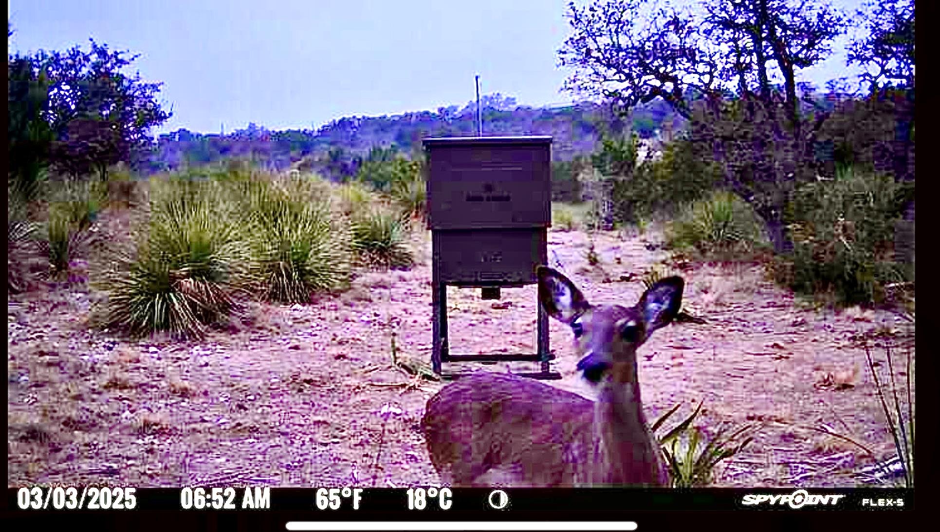 1200 Lipan Apache RUN — photo 5