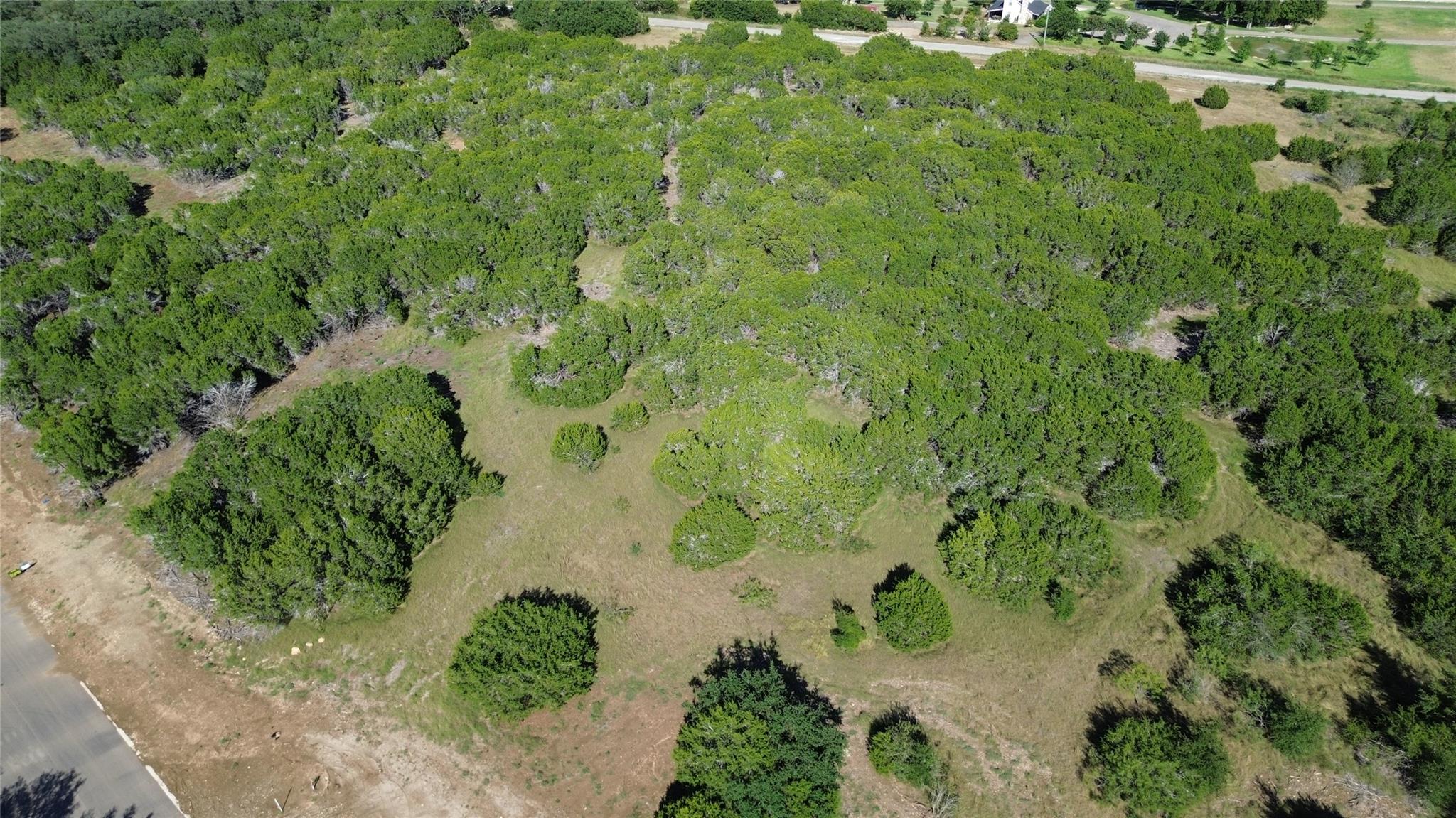 1906 (Lot 11) Woodford CT — photo 4