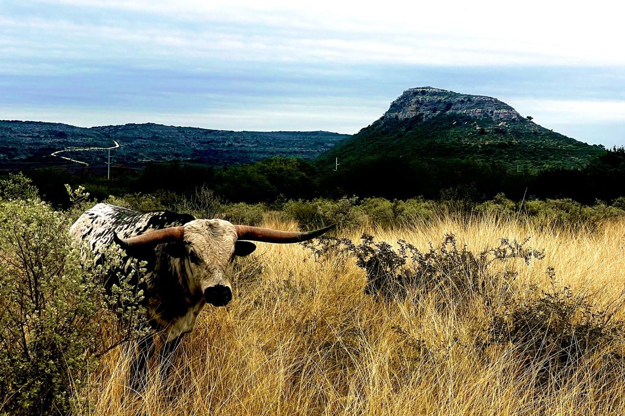 00 HWY 55 LOT 1,19 — photo 3