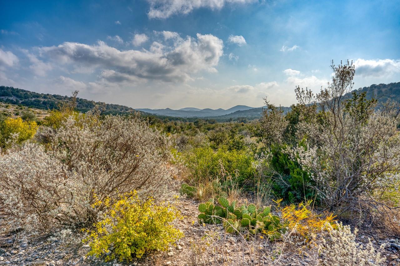 00 HWY 55 LOT 1,19 — photo 4